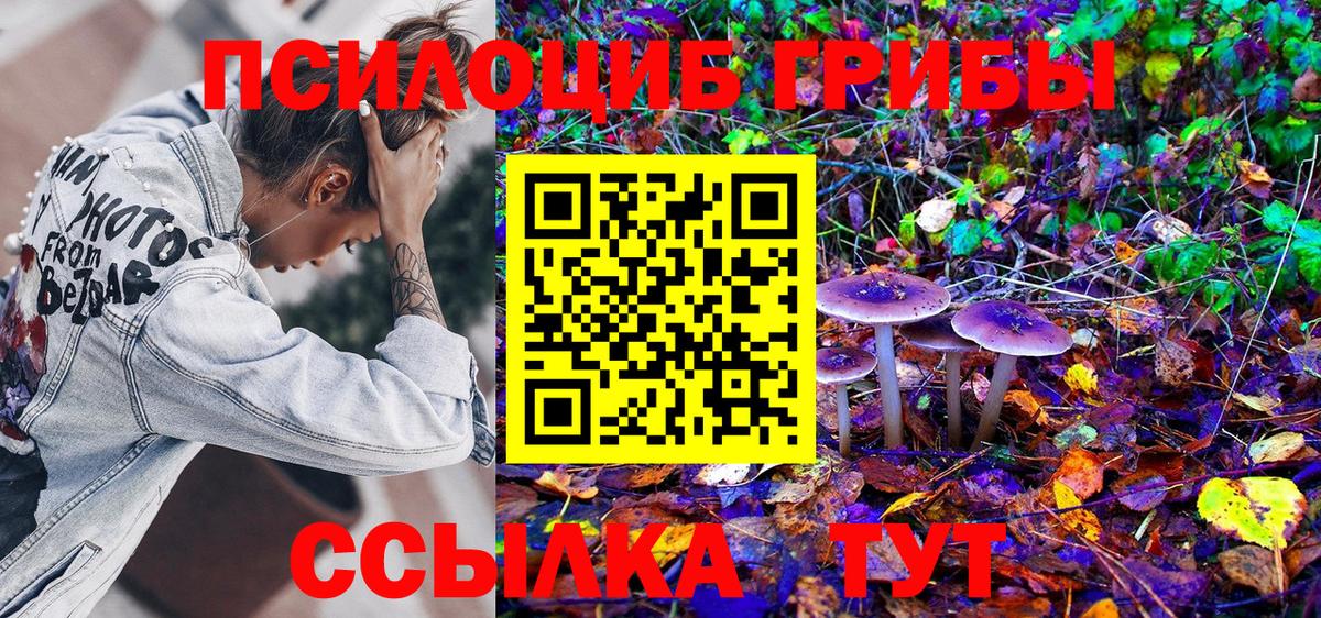 Дзержинский  Псилоцибиновые грибы Cubensis  Вход с VPN 